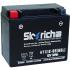 SKYRICH 스카이리치 HTX12-BS 보이저250배터리,보이저300배터리 (AGM 젤타입배터리)